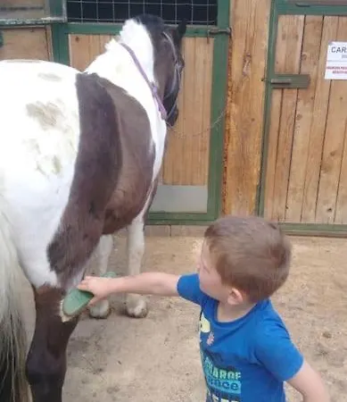Eminem With Garden And View Of Sarajevo Vikendica Hadzici