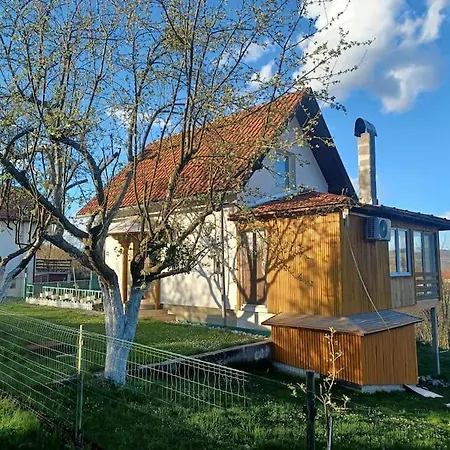 Eminem With Garden And View Of Sarajevo