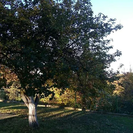 Eminem With Garden And View Of Sarajevo