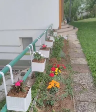 Eminem With Garden And View Of Sarajevo