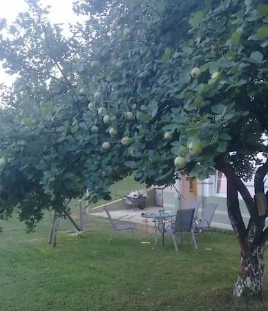 Eminem With Garden And View Of Sarajevo Vikendica