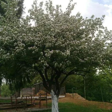 Vikendica Eminem With Garden And View Of Sarajevo Hadzici